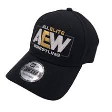 85 Best Aew Wrestling Images In 2019 Wrestling