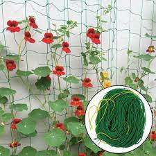 We did not find results for: Multiple Sizes Nylon Gardening Network Melon Fruit Morning Glory Vine Trellis Netting Plant Fence Anti Bird Net Garden Supplies Fencing Trellis Gates Aliexpress