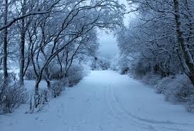 Musim dingin di korea : Musim Di Korea Bumikorea ã…£belajar Bahasa Korea Untuk Pemula