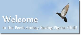 Perth Amboy Racing Pigeon Club Perth Amboy New Jersey