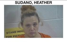 On Mar 16, 2023 deputies conducted a traffic stop