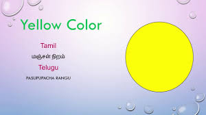 Pin By Uppd Pava Ceation On English And Tamil Fun Activities For Kids Activities For Kids Learning Colors