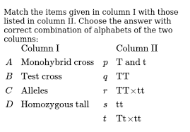 We allow monohybrid cross answer key and numerous ebook collections from fictions to scientific research in any way. Match The Items Given In Column I With Those Listed In Column Ii Choose The Answer With Correct Combination Of Alphabets Of The Two Columns Column I Column Ii A Monohybrid Cross P T And T B Test Cross Q Tt C Alleles R Tt Xx