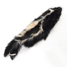 Skunks are mammals that can be easily recognized by their black and white colored fur. Skunk Skin Skunk Fur Pelt Skins Skunk Skin Animal Pelt Hide