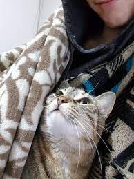 We did not find results for: My Little Girl Fell Off The Balcony Some Time Last Night And Went Missing After Hours And Hours Of Searching Shes Safe And Okay Always Hug Yours Tight And Love Them You