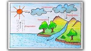 How To Draw Water Cycle Step By Step Water Cycle Drawing For