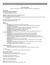 gis resume sample - Beni.algebra-inc.co