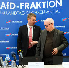 Wir halten sie über alle hochrechnungen und das ergebnis am ende des abends auf dem laufenden. Afd In Sachsen Anhalt Ein Poggenburg Im Moderaten Gewand Welt