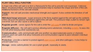Cell wall function in plant cell. Unit 4 Plant Anatomyi Topic Cell Wall Structure