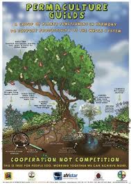 Within A Permaculture Design System Waste Becomes Resources Productivity And Yield Increase Work Is M Permaculture Gardening Permaculture Permaculture Design
