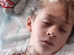 Fundraiser for Tracey Hope by Gemma Tomney : Please help Teddy raise vital  money needed