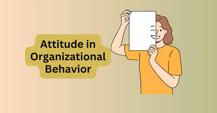 What is Attitude in Organizational Behavior (OB)? - theMBAins