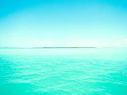 Explore › hd wallpapers › color › blue. 50 Mint Colored Wallpaper On Wallpapersafari
