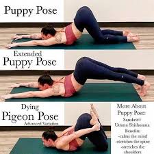 Easy Yoga Workout Your Personal Yoga Aid For Beginners The Yoga Wheel Helps Enhance Stretches Improve Easy Yoga Workouts Yoga Help Yoga Moves