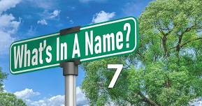 Armory Program: What’s In A Name, Part VII: South Side WBL