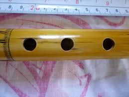 大型ピンクージョケーナの仲間です Kanon 水戸の管楽器 笛 ハーモニカの中古あげます 譲ります ジモティーで不用品の処分