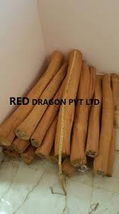 Any of several tropical asian hemiparasitic trees. Mysore Indian Sandalwood Logs At Rs 26500 Kg à¤šà¤¨ à¤¦à¤¨ à¤• à¤²à¤•à¤¡ Red Dragon Bengaluru Id 8762713555