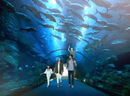 Dubai is the most populous city in the united arab emirates (uae) and the capital of the emirate of dubai. Zobacz Dubaj W Innym Swietle Z Karta My Emirates Pass Na Walizkach