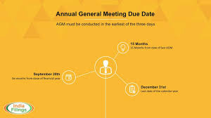 Annual General Meeting Infographic Meeting Yearly Calendar Annual