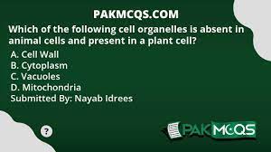 Check spelling or type a new query. Which Is Absent In Animal Cell