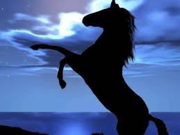 Résultat de recherche d'images pour 'image de chevaux'