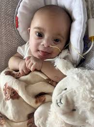 Sandwiches With Love