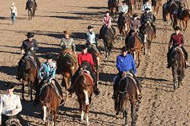 2015 Arizona Sun Circuit Starts Show Season Strong With 15,200 AQHA Entries 