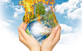 Resultado de imagen para causas humanas del efecto invernadero wikipedia