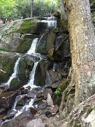Popular great smoky mountains national park categories. Place Of A Thousand Drips Great Smoky Mountains National Park 2021 All You Need To Know Before You Go With Photos Tripadvisor