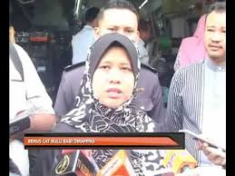 Kementerian perdagangan dalam negeri, koperasi dan kepenggunaan (kpdnkk) selangor hari ini menyita lapan berus cat pelbagai jenis dipercayai diperbuat. Berus Cat Bulu Babi Dirampas Video Dailymotion