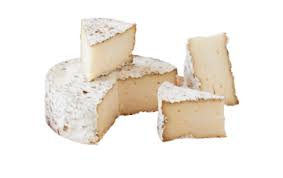 Image result for Casearia runssorica