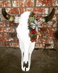 Succulent Cow Skull With Lace Skullsbyashley Instagram Skullsbyashley On Etsy Deer Skull Decor Cow Skull Art Cow Skull Decor
