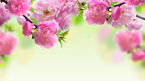Wallpaper Collection 37 Best Free Hd Spring Desktop Wallpaper Background To Download Pc In 2020 Spring Wallpaper Spring Desktop Wallpaper Welcome May