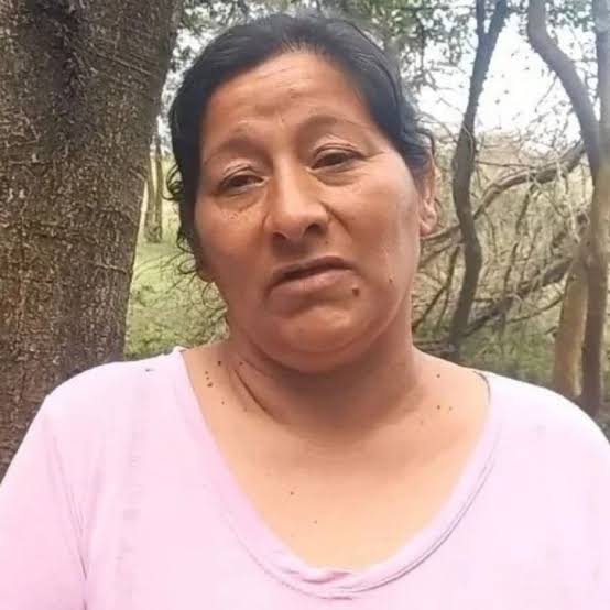 Fiscales federales pidieron la detención de Laudelina: muchos desconfían de  ella y no hay rastros de Loan | Perfil