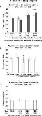 Integration Of Bilateral Nociceptive Inputs Tunes Spinal And Cerebral Responses Scientific Reports