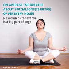 Pin On Types Of Yoga Asanas