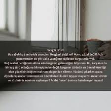 Ilknur Adli Kullanicinin Fotom Panosundaki Pin 2020 Karga Okuma Pencereler