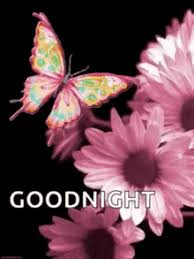 We did not find results for: Get Well Flowers Gifs Tenor