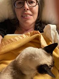 MAID, pet-MAID, and MAIDHouse — Celia Chandler, Writer