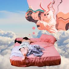 Se faire voler son sac à main est souvent (voir tout le temps) vécu comme un drame car c'est toute notre vie qu'il contient ! Ce Que Vos Reves Chelou Disent De Vous Self Care Tapage