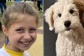 Fundraiser by Lisa Hartzell : Avery's Type W-ONE-Derful Dog