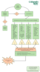 respiratory protection