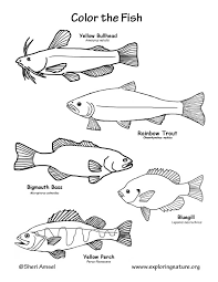Preheat the oven to 375 degrees f. Fish Freshwater Coloring Page