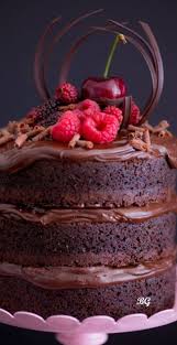 Pin By Bliss Garden On Recetas Homemade Chocolate Savoury Cake Mini Cakes