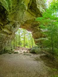 8 Horseback Riding Trails in Ohio With ...