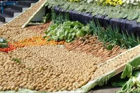 Holtikultura merupakan cabang dari agronomi, namun holtikultura lebih memfokuskan pada budidaya tanaman buah, bunga, sayuran, hias dan obat obatan. Kementan Kembangkan Sentra Hortikultura Di Modoinding Jpnn Com