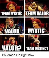 Teammystics Teamvalor Valor Mystic Valorp Team Instinct Pokemon Go Right Now Pokemon Meme On Me Me