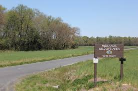 Expanded Midlands Wildlife Area preserve offers new opportunities in  conservation