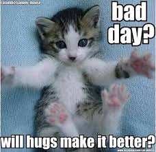 21 Adorable Cats Who Just Want A Hug Kittens Cutest Funny Cat Memes Cute Funny Animals