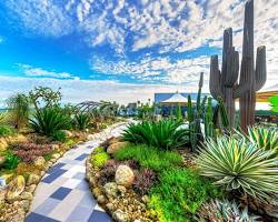 حدائق الأسطح الإبداعية: رحلة إلى عالم من الجمال مع شركة Cactus للاند سكيب